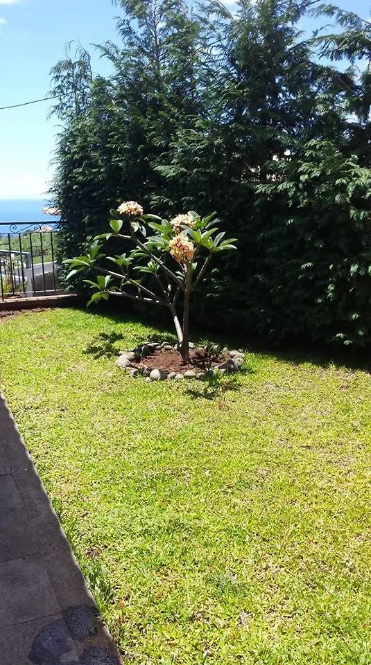 Holiday home Paraiso Das Flores Villa Estreito Da Calheta