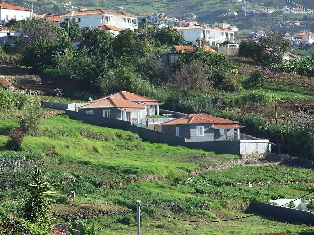 Paraiso das Flores Estreito Da Calheta Ferienhaus