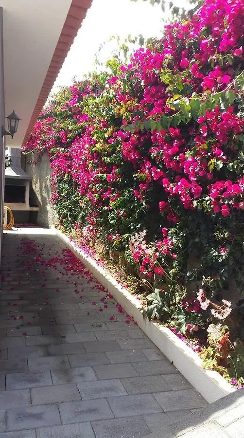 Paraiso das Flores Estreito Da Calheta Portugal
